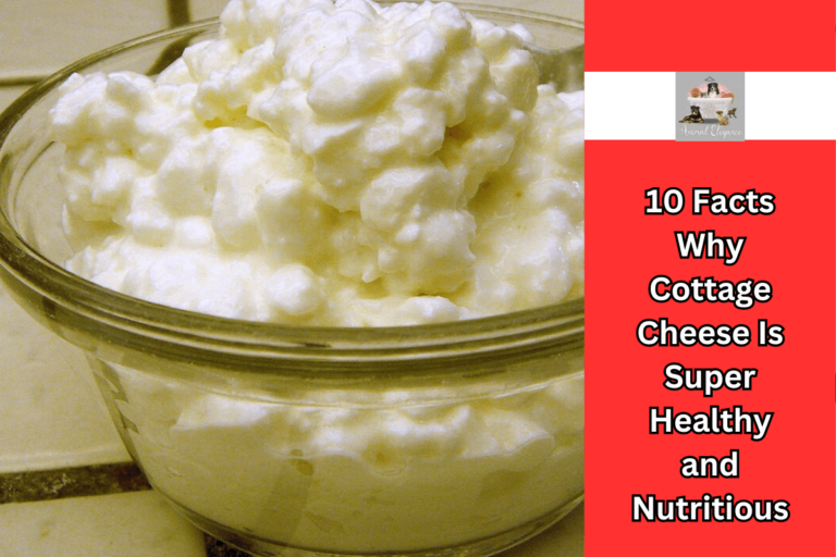 10 Facts Why Cottage Cheese Is Super Healthy and Nutritious