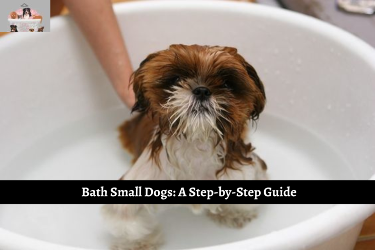 Bath Small Dogs: A Step-by-Step Guide