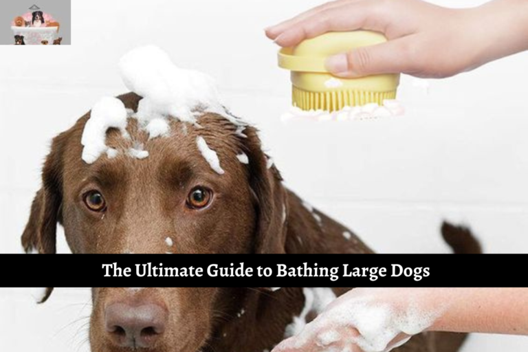 The Ultimate Guide to Bathing Large Dogs