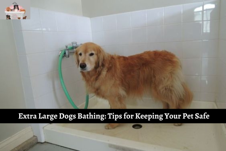 Extra Large Dogs Bathing: Tips for Keeping Your Pet Safe