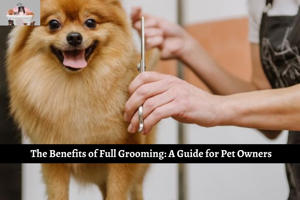 The Benefits of Full Grooming: A Guide for Pet Owners