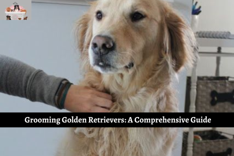 Grooming Golden Retrievers: A Comprehensive Guide