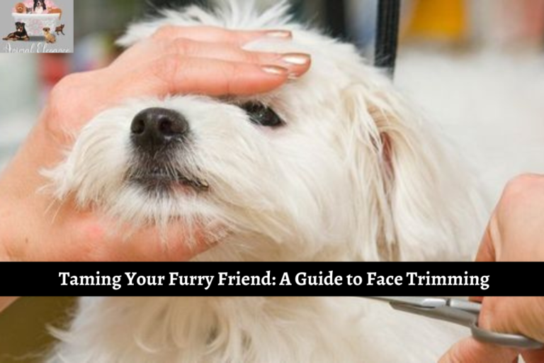 Taming Your Furry Friend: A Guide to Face Trimming